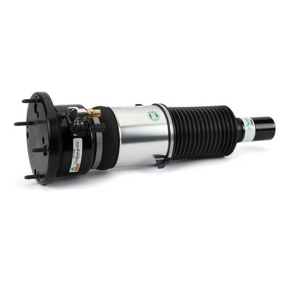 Air Suspension Strut Original Arnott Product AS-3309