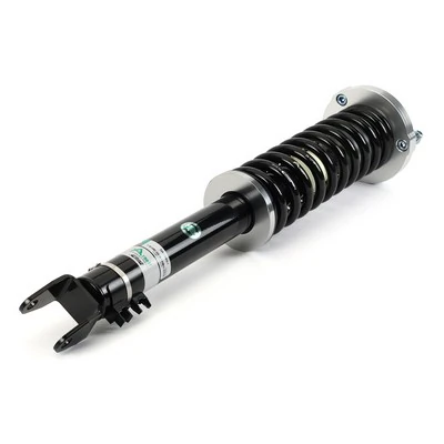 Arnott SK-3601 Shock Absorber