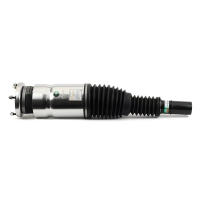 Air Suspension Strut Original Arnott eRide Product ASE-3735