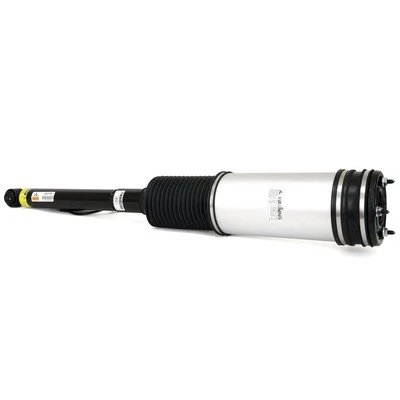 Air Suspension Strut AS-2194