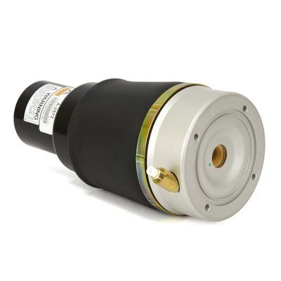 Air Spring, suspension Original Arnott Product A-2572