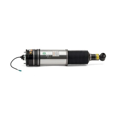 Arnott AS-2979 Air Suspension Strut