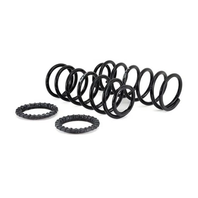 Arnott C-2410 Suspension Set, springs