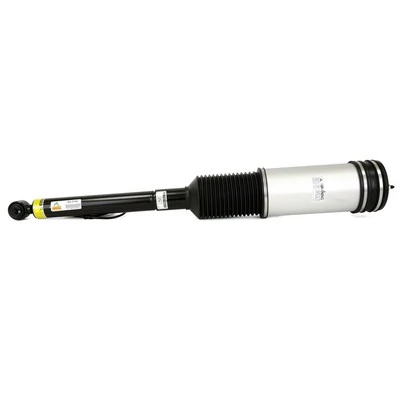 Air Suspension Strut AS-2194