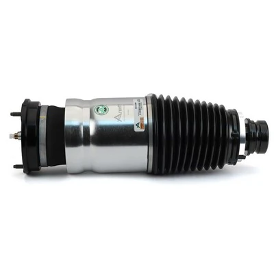Arnott AS-3380 Air Suspension Strut