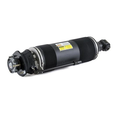 Arnott SK-2419 Air Suspension Strut