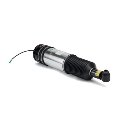 Arnott AS-2979 Air Suspension Strut