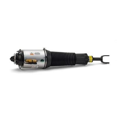 Arnott AS-2893 Air Suspension Strut