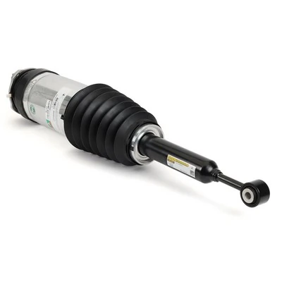 Air Suspension Strut Original OES-Product AS-3752
