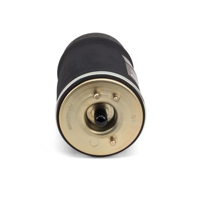 Air Spring, suspension A-2501