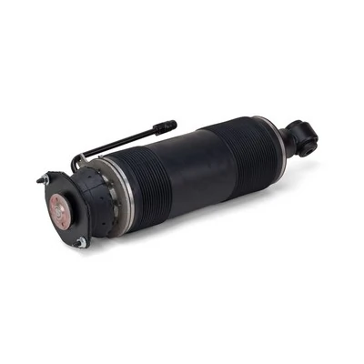 Arnott SK-2473 Air Suspension Strut