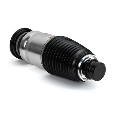 Arnott AS-3380 Air Suspension Strut
