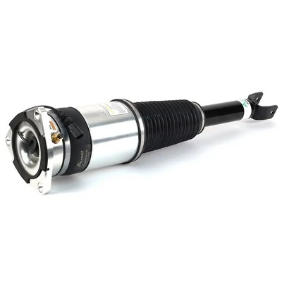 Air Suspension Strut Original Arnott Product AS-3031