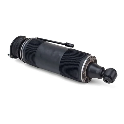 Arnott SK-2473 Air Suspension Strut