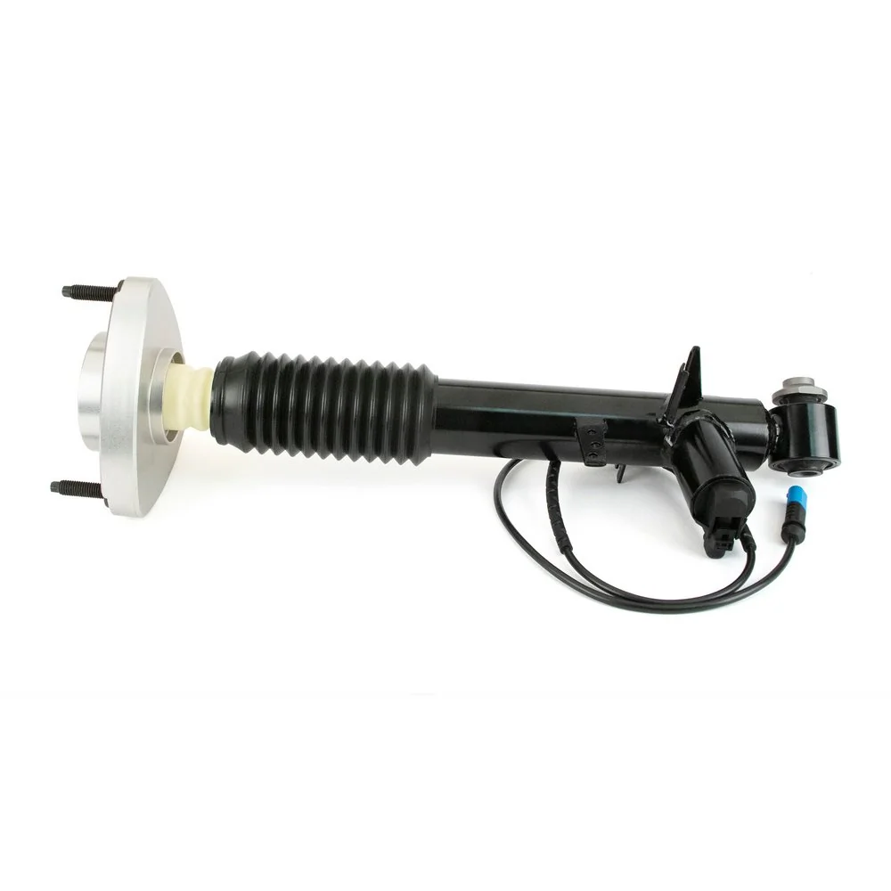 Arnott SK-3817 Shock Absorber