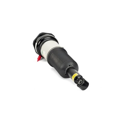 Air Suspension Strut Original Arnott Product AS-3073