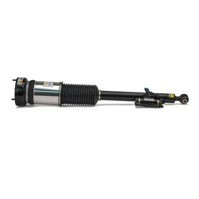 Air Suspension Strut Original Arnott Product AS-2821