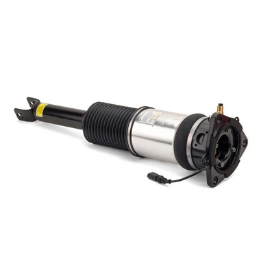 Air Suspension Strut AS-2959