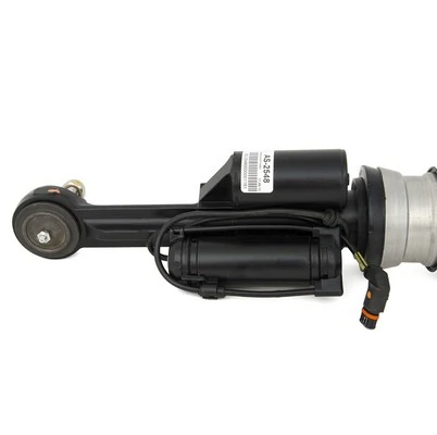 Air Suspension Strut AS-2548
