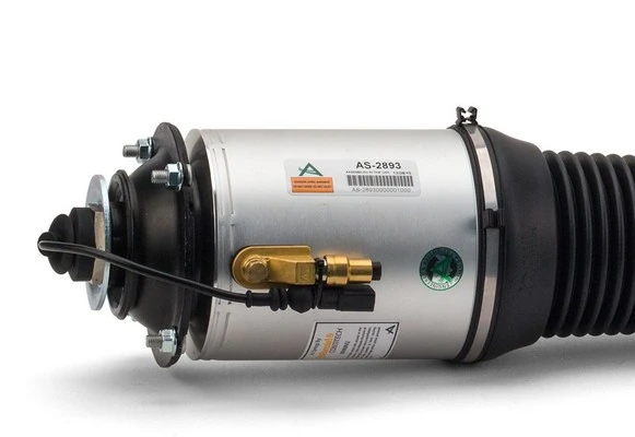 Arnott AS-2893 Air Suspension Strut