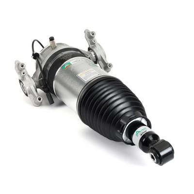 Air Suspension Strut Original Arnott Product AS-3166