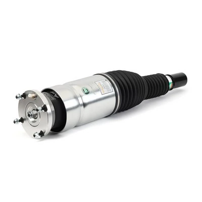 Air Suspension Strut Original Arnott eRide Product ASE-3735