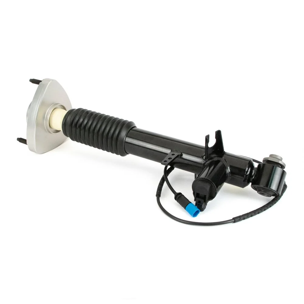 Arnott SK-3817 Shock Absorber