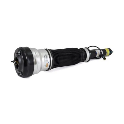 Air Suspension Strut AS-2193