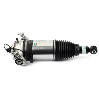 Air Suspension Strut Original Arnott Product AS-3166