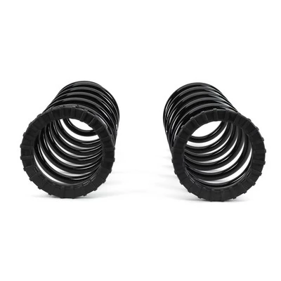 Arnott C-2410 Suspension Set, springs