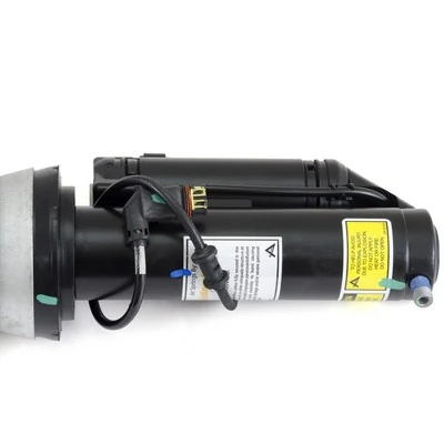 Air Suspension Strut AS-2193