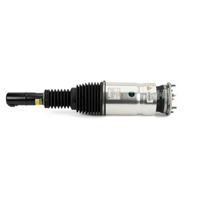 Arnott AS-3070 Air Suspension Strut