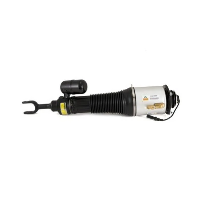 Air Suspension Strut AS-2580