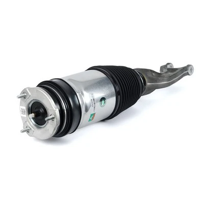 Air Suspension Strut Original OES-Product AS-3176