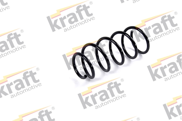 Suspension Spring 4020381