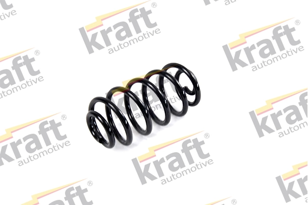 Suspension Spring 4038016