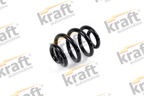 Suspension Spring 4030100