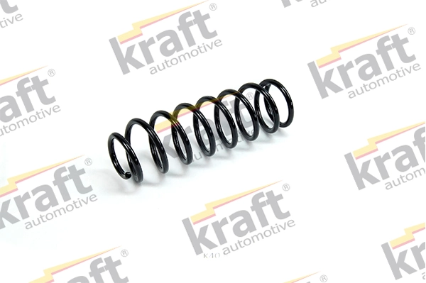 Suspension Spring 4030271