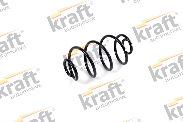 Suspension Spring 4031528