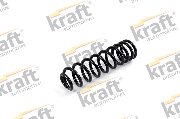 Suspension Spring 4031118
