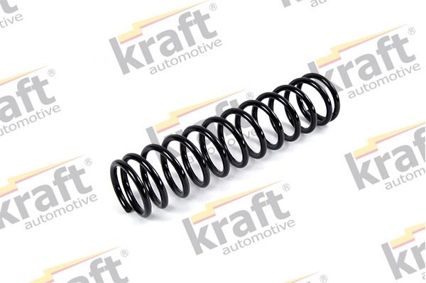 Suspension Spring 4036510