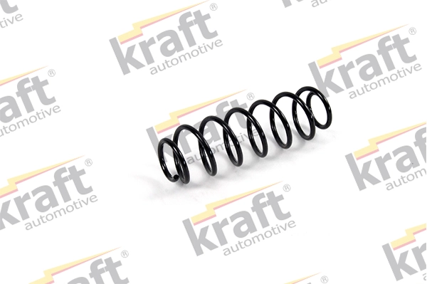 Suspension Spring 4030370