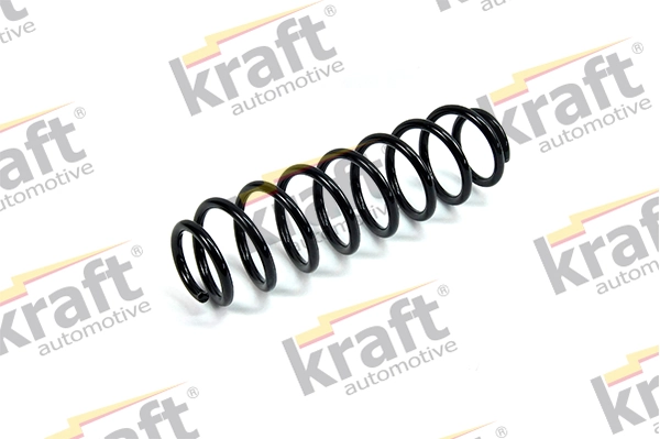 Suspension Spring 4036507