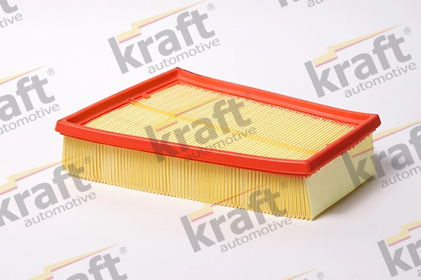 Air Filter 1715018