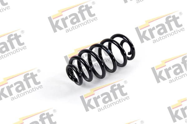 Suspension Spring 4030620