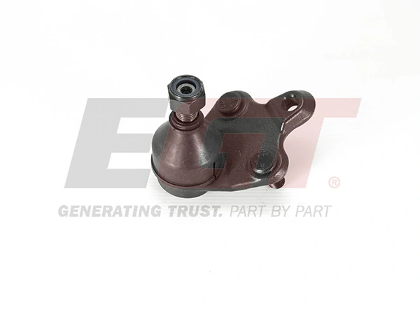 Ball Joint 101209EGT