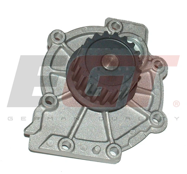 Water Pump, engine cooling 701381EGT