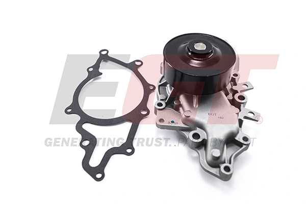 Water Pump, engine cooling 701039EGT
