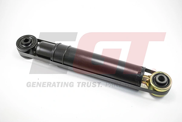 Shock Absorber 383665EGT
