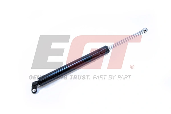 Gas Spring, boot/cargo area 510199EGT